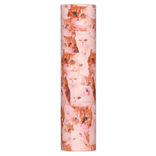 香榭大道限量唇膏盒077 貓咪Y2K-空殼一入-2033.03到期