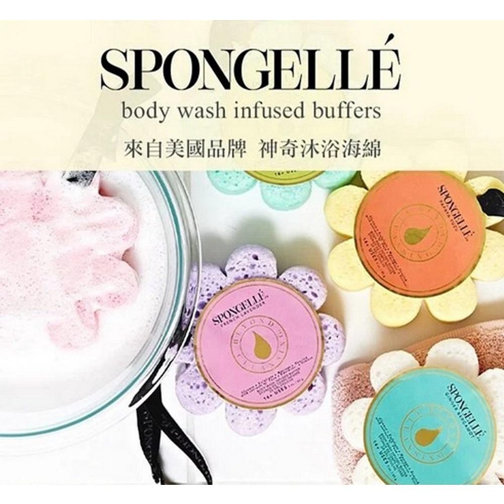 【SPONGELLE】美國品牌 藝術版去角質海綿 99g(多款香味可選)-細節圖5