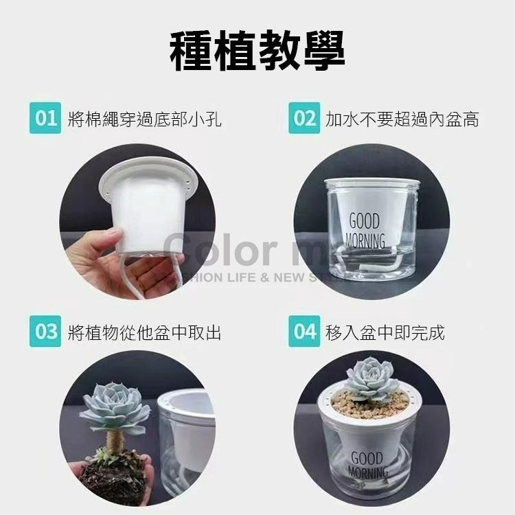 花盆 盆栽 透明花盆 塑膠盆 蓄水花盆 懶人花盆 塑料花盆 水培花盆 懶人 自吸水花盆【M118】Color me-細節圖8