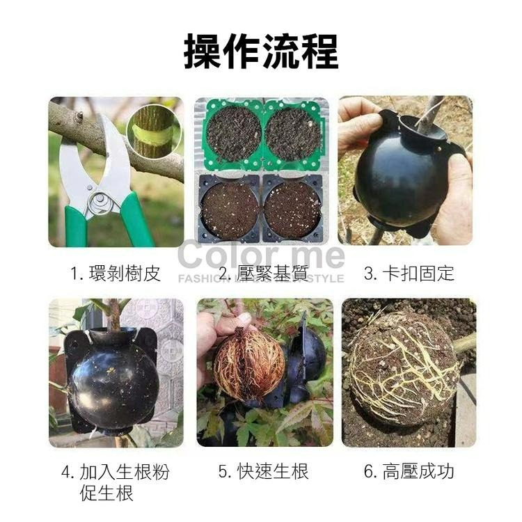 高壓球 高壓繁殖球 高壓盒 植物繁殖盒 嫁接生根盒 樹木生根器 繁殖盒 植物高壓繁殖盒【P444】Color me-細節圖9