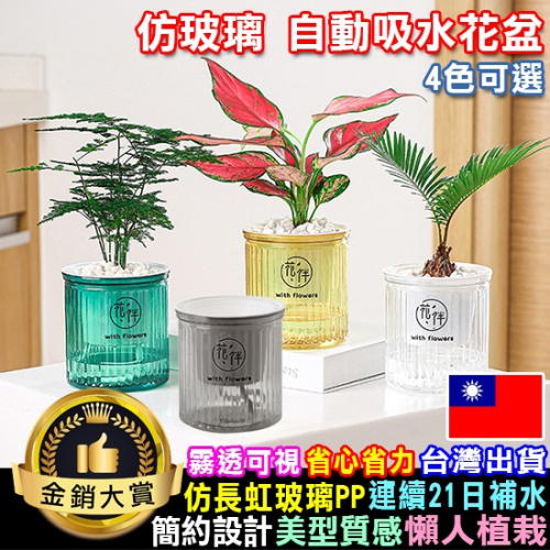 花盆 盆栽 透明花盆 塑膠盆 蓄水花盆 懶人花盆 塑料花盆 水培花盆 仿玻璃 自動吸水花盆【Q023】Color me