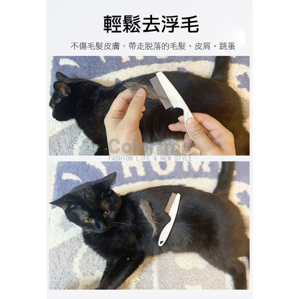 貓咪除蚤梳子 除蚤梳 臉毛梳 眼角梳 密齒梳 貓狗除蚤梳 跳蚤梳 寵物梳子  寵物 除蚤梳【S038】Color me-細節圖7