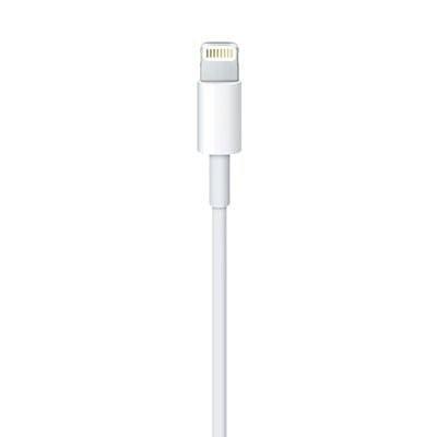 Apple 原廠 Lightning 對 USB 連接線 (1 公尺) 充電 傳輸 線-細節圖3