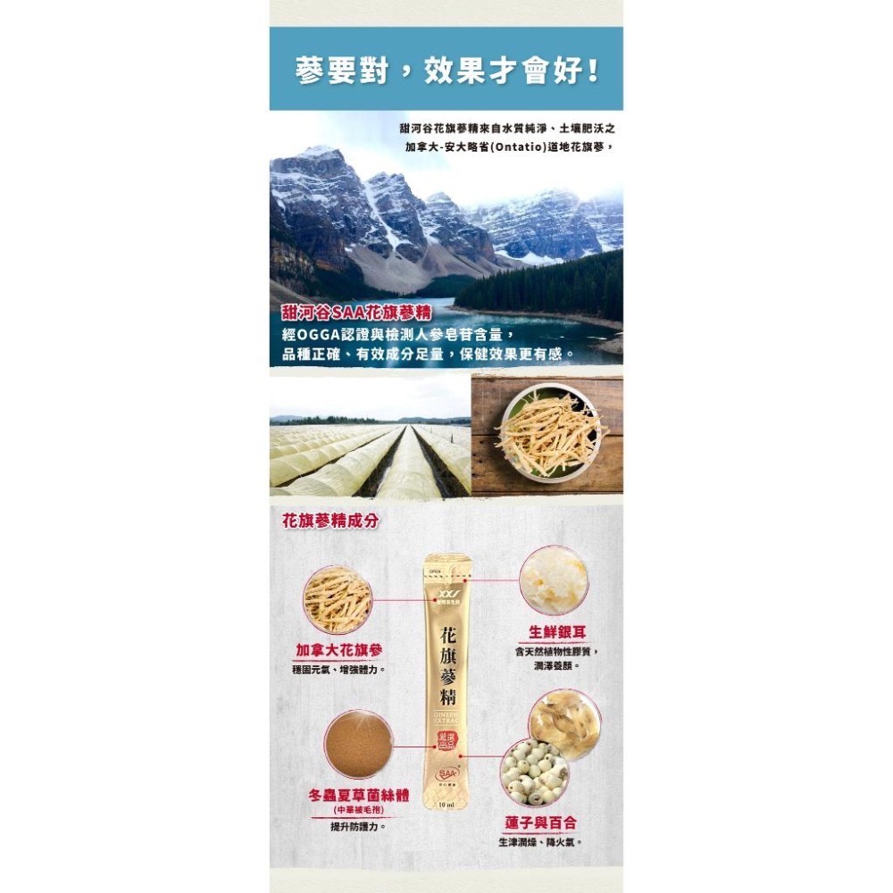 【甜河谷】免運！花旗蔘精 精緻禮盒 10g*40包 (冬蟲夏草菌絲體添加)-波比元氣-細節圖4