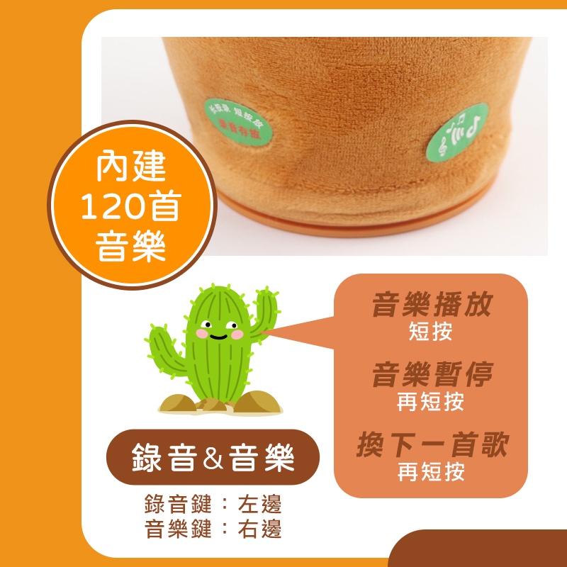 【台灣現貨 免運費！安全有保障】跳舞仙人掌 搖擺仙人掌 惡搞禮物 抖音 仙人掌玩具 生日禮物 整人玩具 娃娃 搞笑玩具-細節圖7