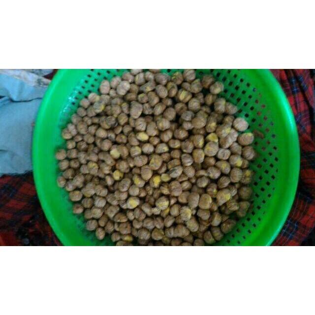 千果之王_正京東頂級生鮮去殼栗子 新鮮栗子仁__帶薄膜-細節圖2