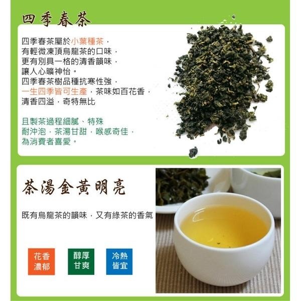 【正心堂】四季春茶 20入茶包 沖泡茶葉 青茶 四季春 冷泡茶茶包-細節圖2