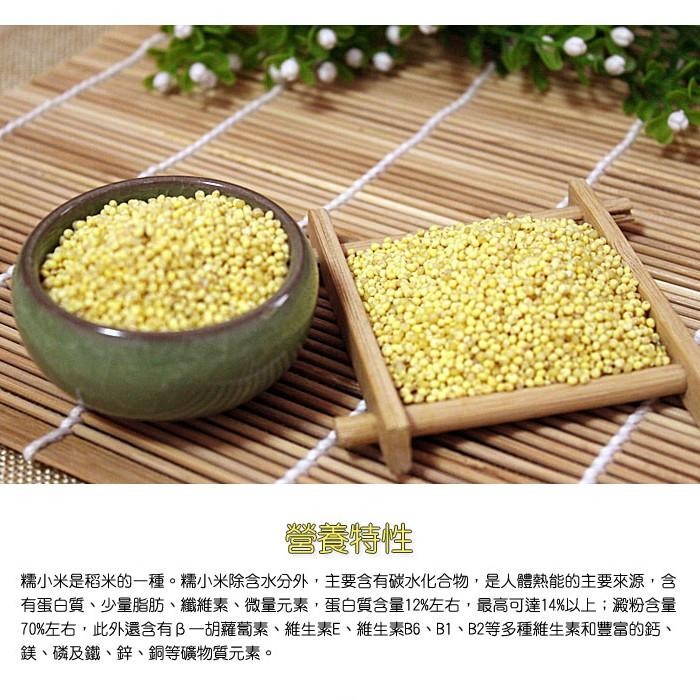 【正心堂】 糯小米 600克 黃小米 黏性佳 中國小米 可製小米粥小米粽小米QQ蛋點心糕點 五穀雜糧-細節圖3