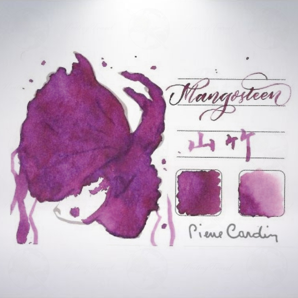 法國 Pierre Cardin 皮爾卡登 30ml 水果閃粉系列墨水: 山竹絳紫-細節圖2