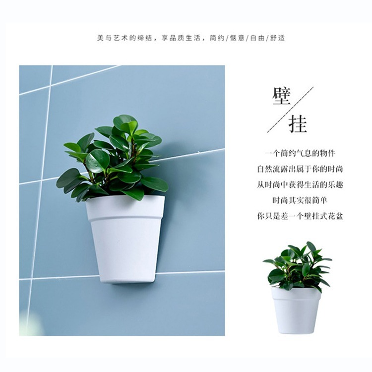 DA163｜壁掛式塑料盆栽花器 植物花盆 墻壁陽臺室內牆上盆景 半圓形小花盆 水培花盆 壁掛式收納盒 塑膠花盆-細節圖2