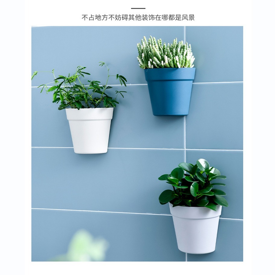 DA163｜壁掛式塑料盆栽花器 植物花盆 墻壁陽臺室內牆上盆景 半圓形小花盆 水培花盆 壁掛式收納盒 塑膠花盆-細節圖3