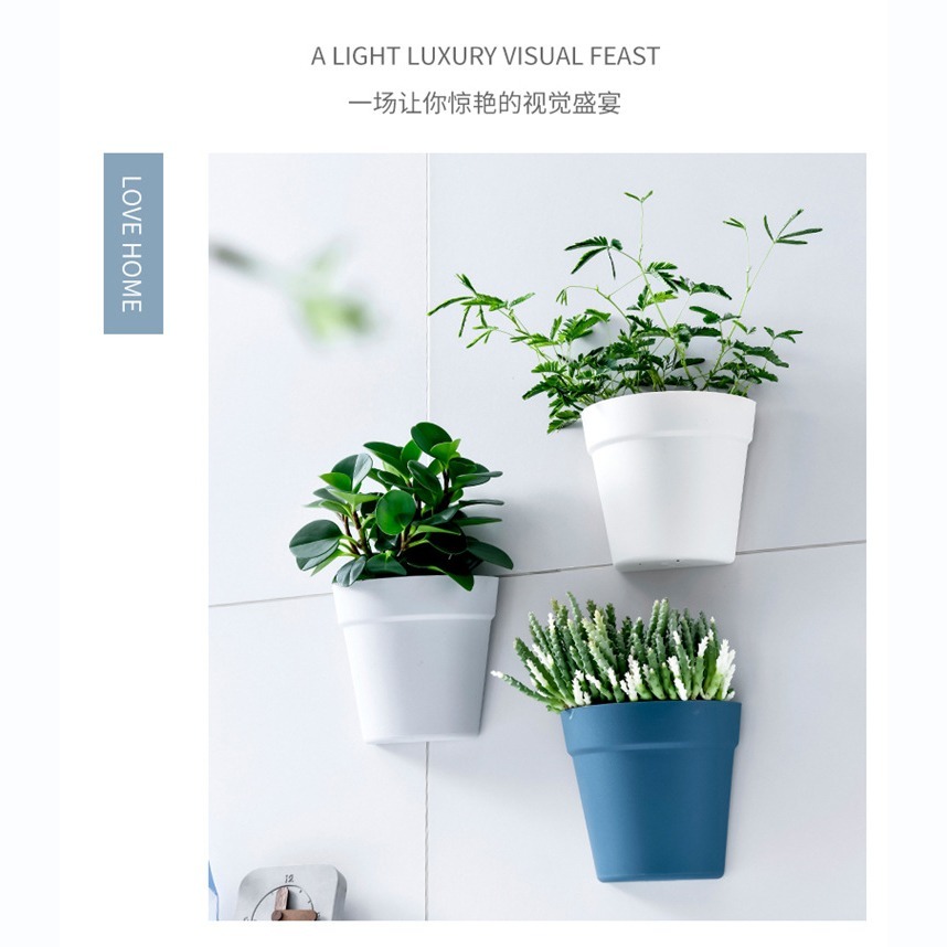 DA163｜壁掛式塑料盆栽花器 植物花盆 墻壁陽臺室內牆上盆景 半圓形小花盆 水培花盆 壁掛式收納盒 塑膠花盆-細節圖4