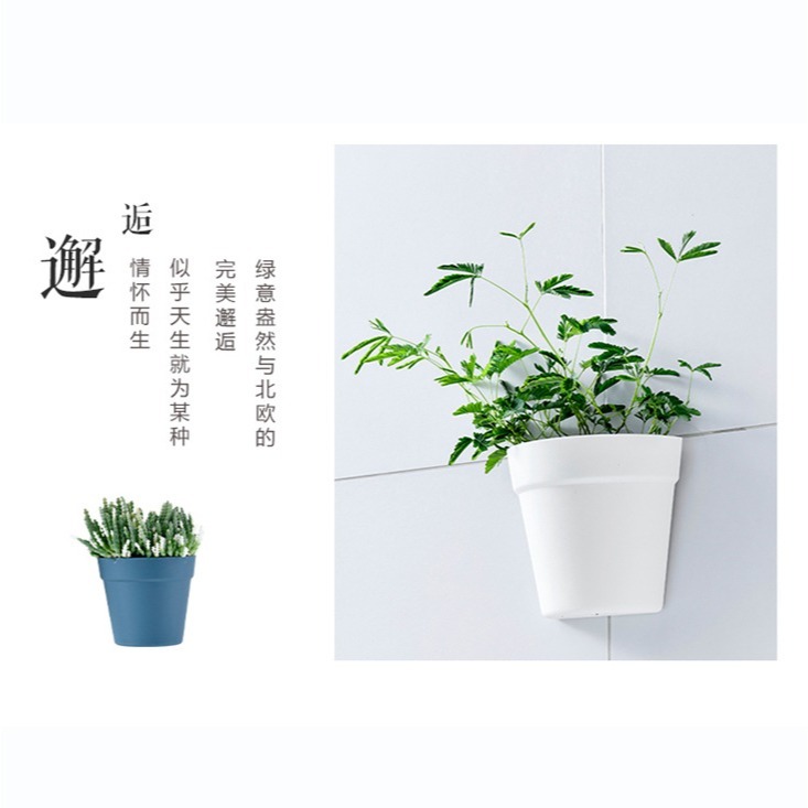DA163｜壁掛式塑料盆栽花器 植物花盆 墻壁陽臺室內牆上盆景 半圓形小花盆 水培花盆 壁掛式收納盒 塑膠花盆-細節圖5