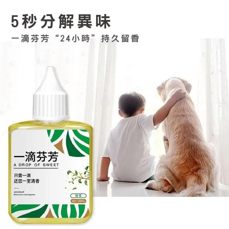 B332｜一滴芬芳 淨味 除臭 去異味 一滴香 居家生活 室內 浴室 廁所 馬桶除臭 芳香劑 清香劑-細節圖2