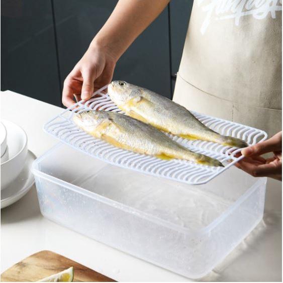 HO鶴百貨-冰箱冷藏盒可瀝水廚房塑料分裝冷凍盒食物雞蛋魚水果密封盒-細節圖4