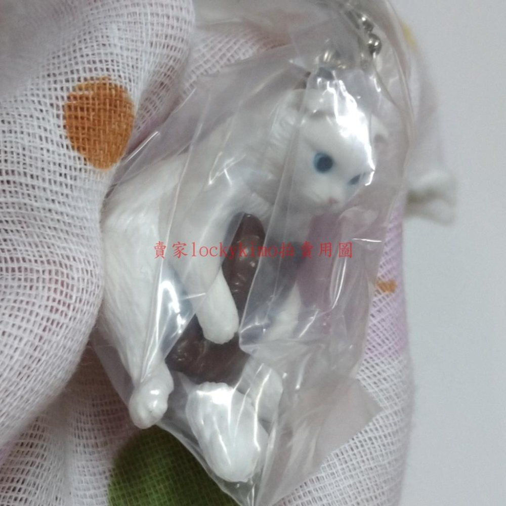 【貓咪cafe 白貓 抱 巧克力 造型 轉蛋 扭蛋】貓咪咖啡屋 點心貓 萬代 貓咪cafe屋 動物 貓咪 造型 轉蛋-細節圖2