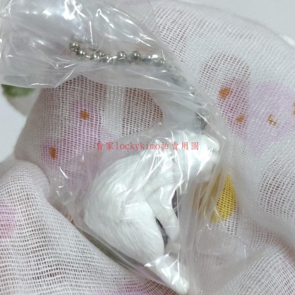 【貓咪cafe 白貓 抱 巧克力 造型 轉蛋 扭蛋】貓咪咖啡屋 點心貓 萬代 貓咪cafe屋 動物 貓咪 造型 轉蛋-細節圖4