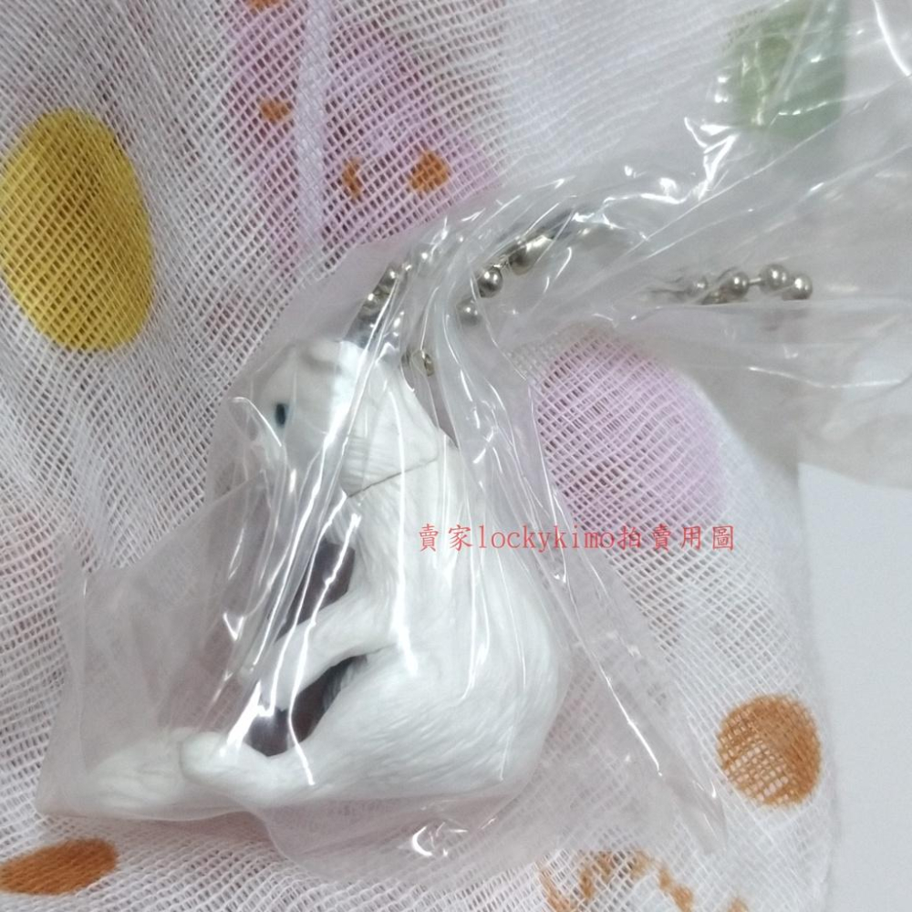 【貓咪cafe 白貓 抱 巧克力 造型 轉蛋 扭蛋】貓咪咖啡屋 點心貓 萬代 貓咪cafe屋 動物 貓咪 造型 轉蛋-細節圖5