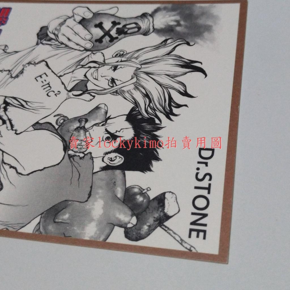 【Dr.STONE 新石紀 迷你 原畫 色紙 1枚】稻垣理一郎 Boichi 少年 jump 2017 特典 卡 簽名板-細節圖6