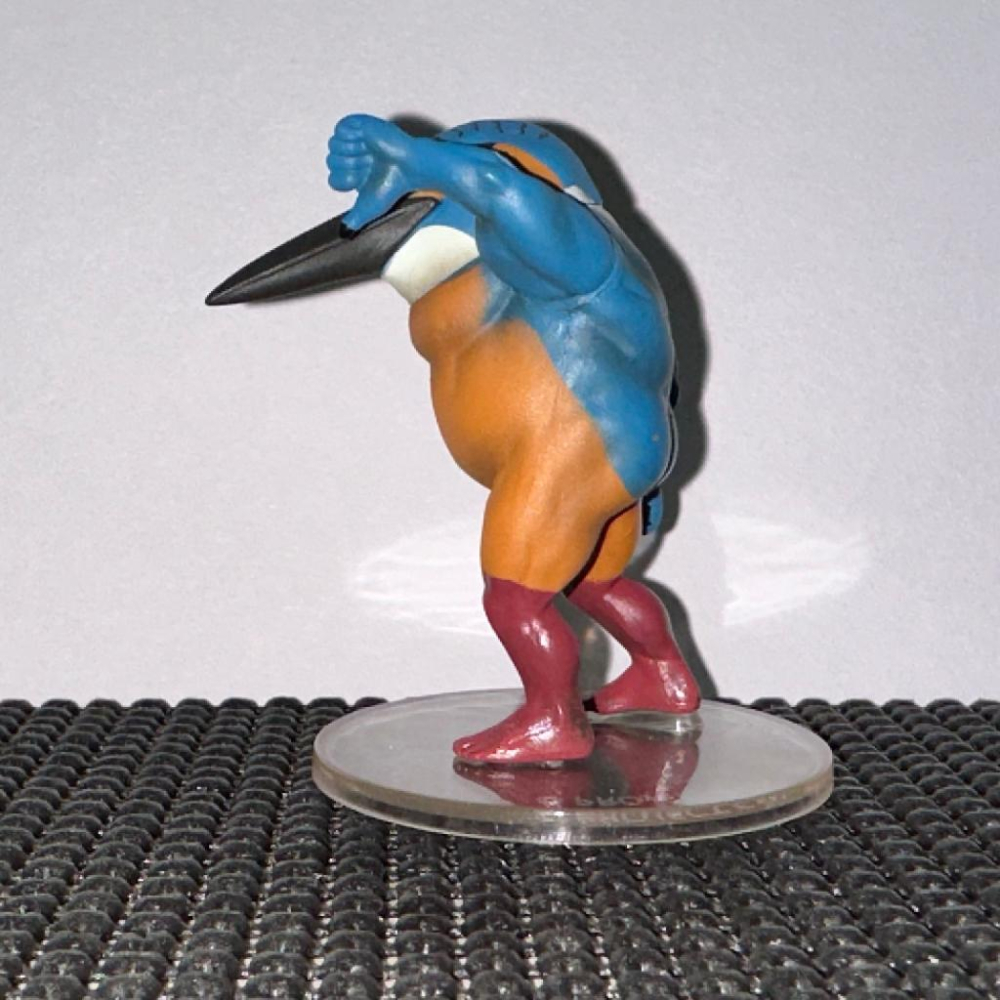 日版 正版 戰鬥筋肉鳥 轉蛋 扭蛋 第一彈 千錘百鍊肌肉鳥 魚狗 公仔 景品 二手 現貨 實際拍攝-細節圖2