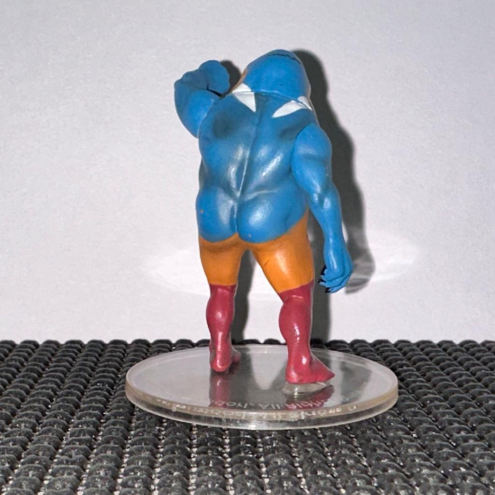 日版 正版 戰鬥筋肉鳥 轉蛋 扭蛋 第一彈 千錘百鍊肌肉鳥 魚狗 公仔 景品 二手 現貨 實際拍攝-細節圖3