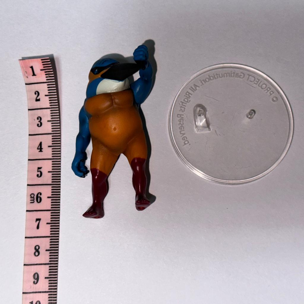 日版 正版 戰鬥筋肉鳥 轉蛋 扭蛋 第一彈 千錘百鍊肌肉鳥 魚狗 公仔 景品 二手 現貨 實際拍攝-細節圖5