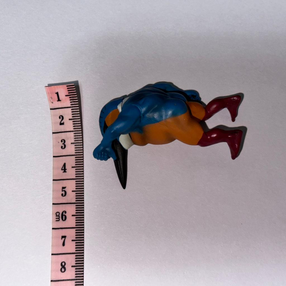 日版 正版 戰鬥筋肉鳥 轉蛋 扭蛋 第一彈 千錘百鍊肌肉鳥 魚狗 公仔 景品 二手 現貨 實際拍攝-細節圖6