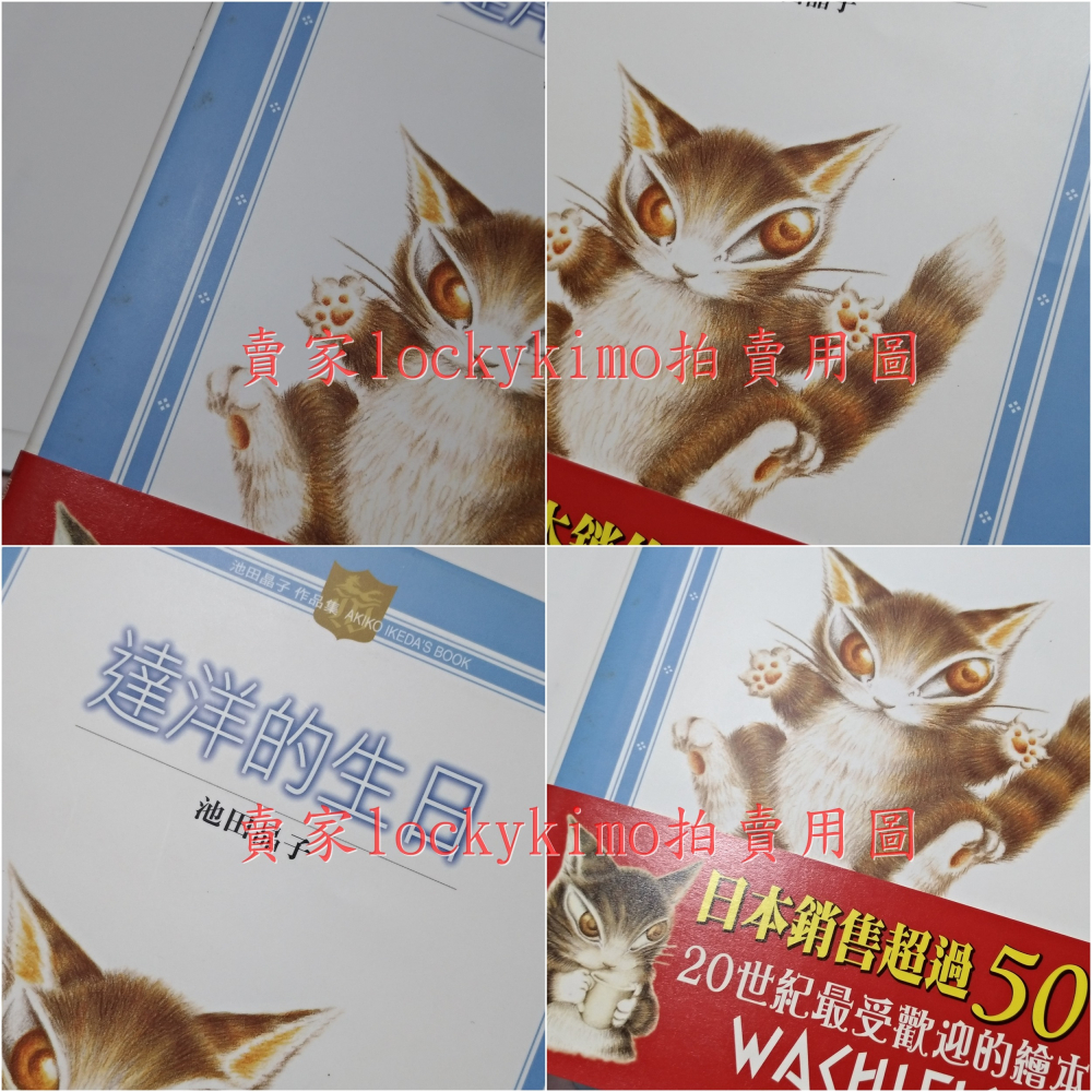 絕版【達洋的生日 池田晶子 達洋貓 尖端出版】Baby Dayan 瓦齊菲爾德 WACHIFIELD 達洋 瑪西 伊凡-細節圖6