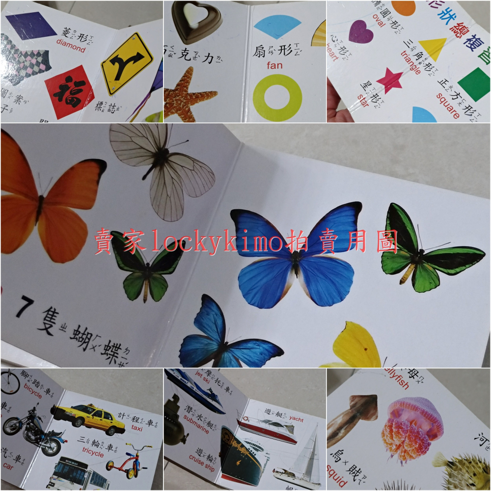 二手【球球館 認知口袋書 11本】Baby 可愛動物 美味食物 顏色 形狀 各行各業 交通工具 海洋世界 日常生活-細節圖6