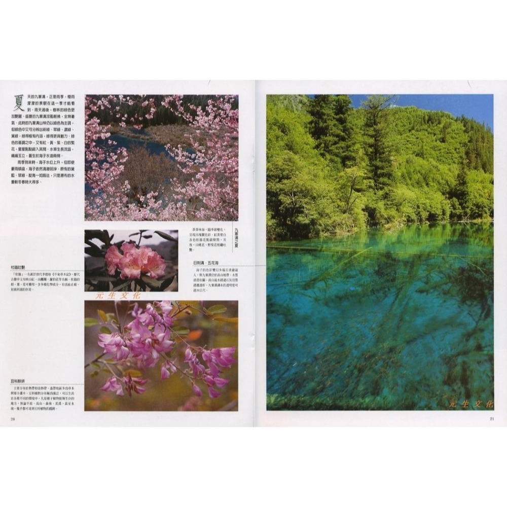 《大地瑰寶》錦繡文化-細節圖3