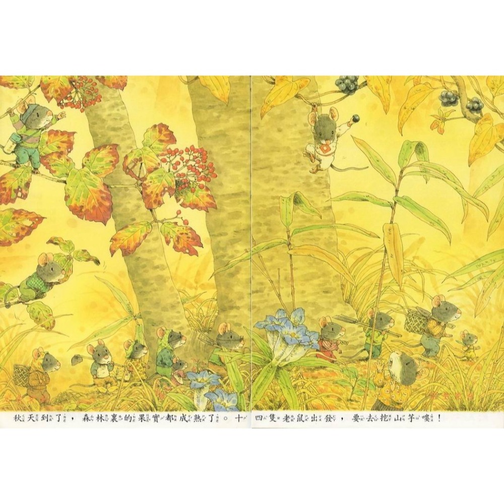 《14隻老鼠系列》英文漢聲-細節圖3