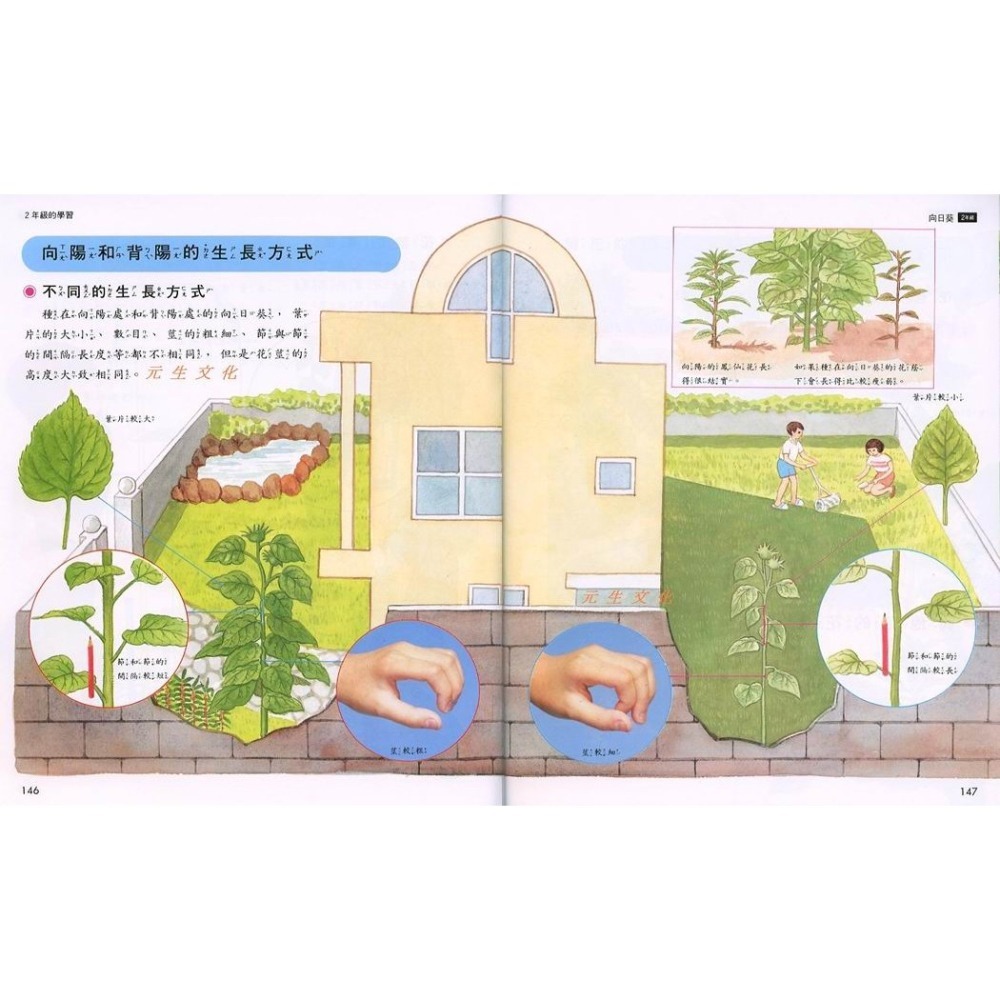 《小牛頓科學百科》《小牛頓數學百科》牛頓出版-細節圖3