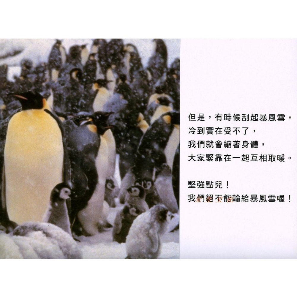 《Big Science大科學兒童自然科學月刊》東西圖書-細節圖2