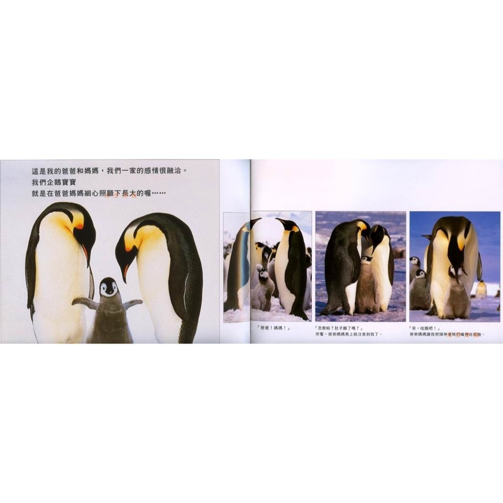 《Big Science大科學兒童自然科學月刊》東西圖書-細節圖3