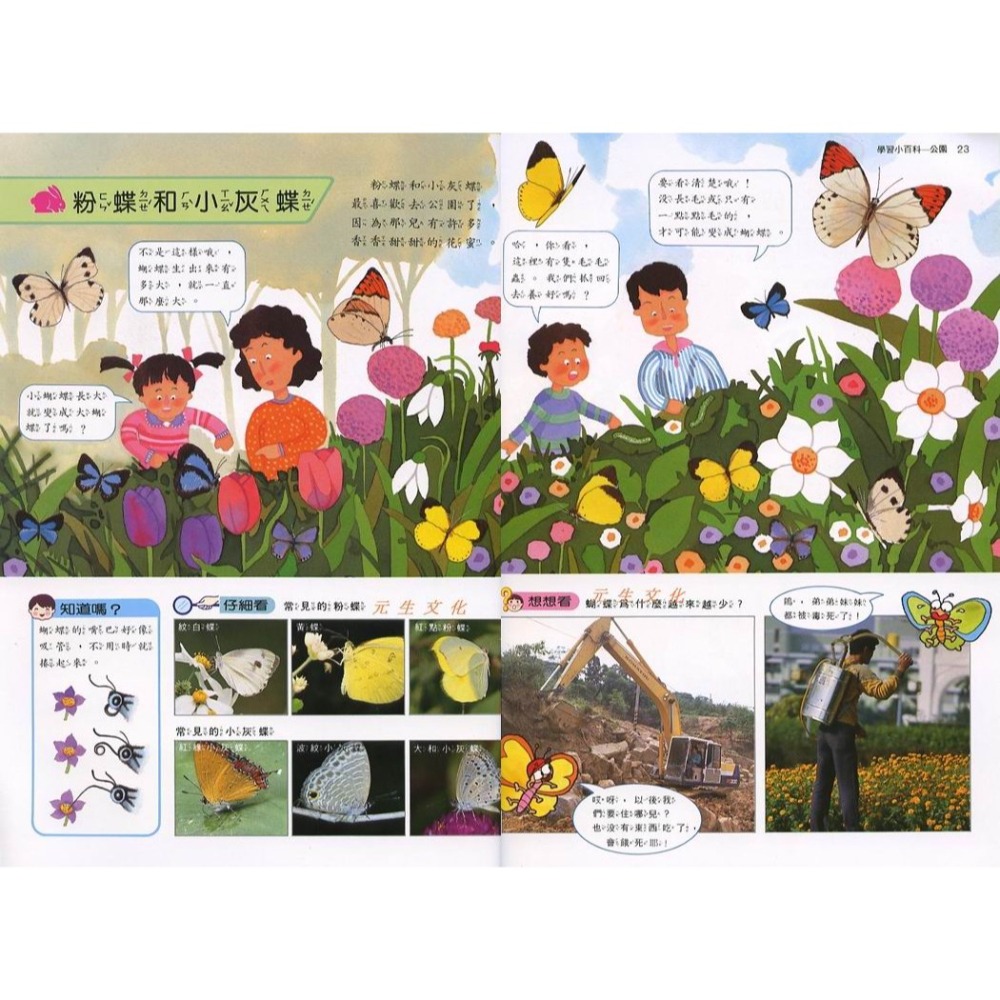 《小牛頓學習小百科》牛頓出版-細節圖3