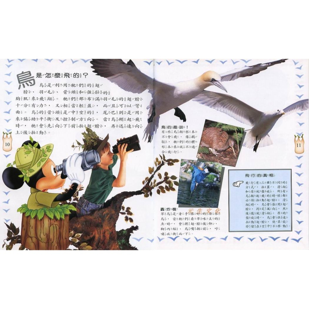 《迪士尼歡樂小百科》全美文化-細節圖3