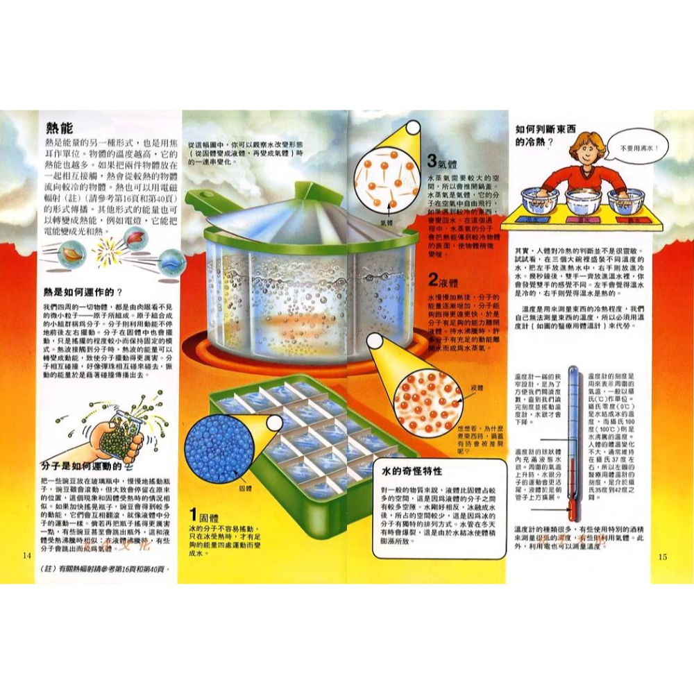 《小牛頓實用科學入門》牛頓出版-細節圖3