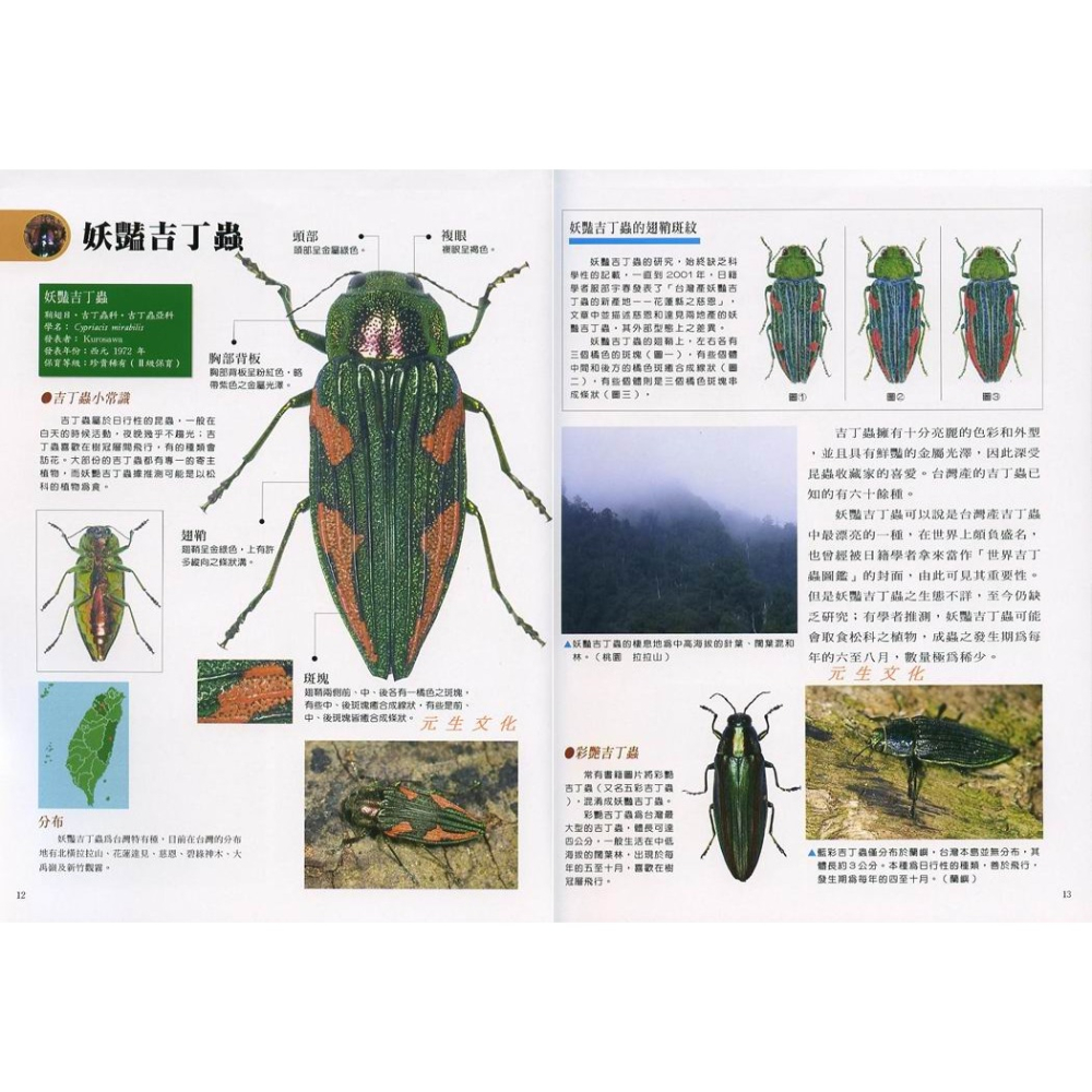 《昆蟲大師》博學館-細節圖3