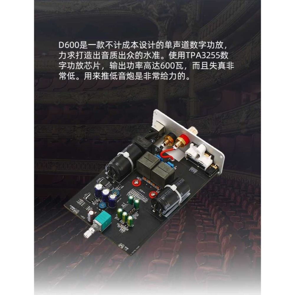 擴大機 後級 單聲道全頻 300w*1@8歐 +48V5A變壓器 TPA3255 型號 D600 D類 高傳真-細節圖2
