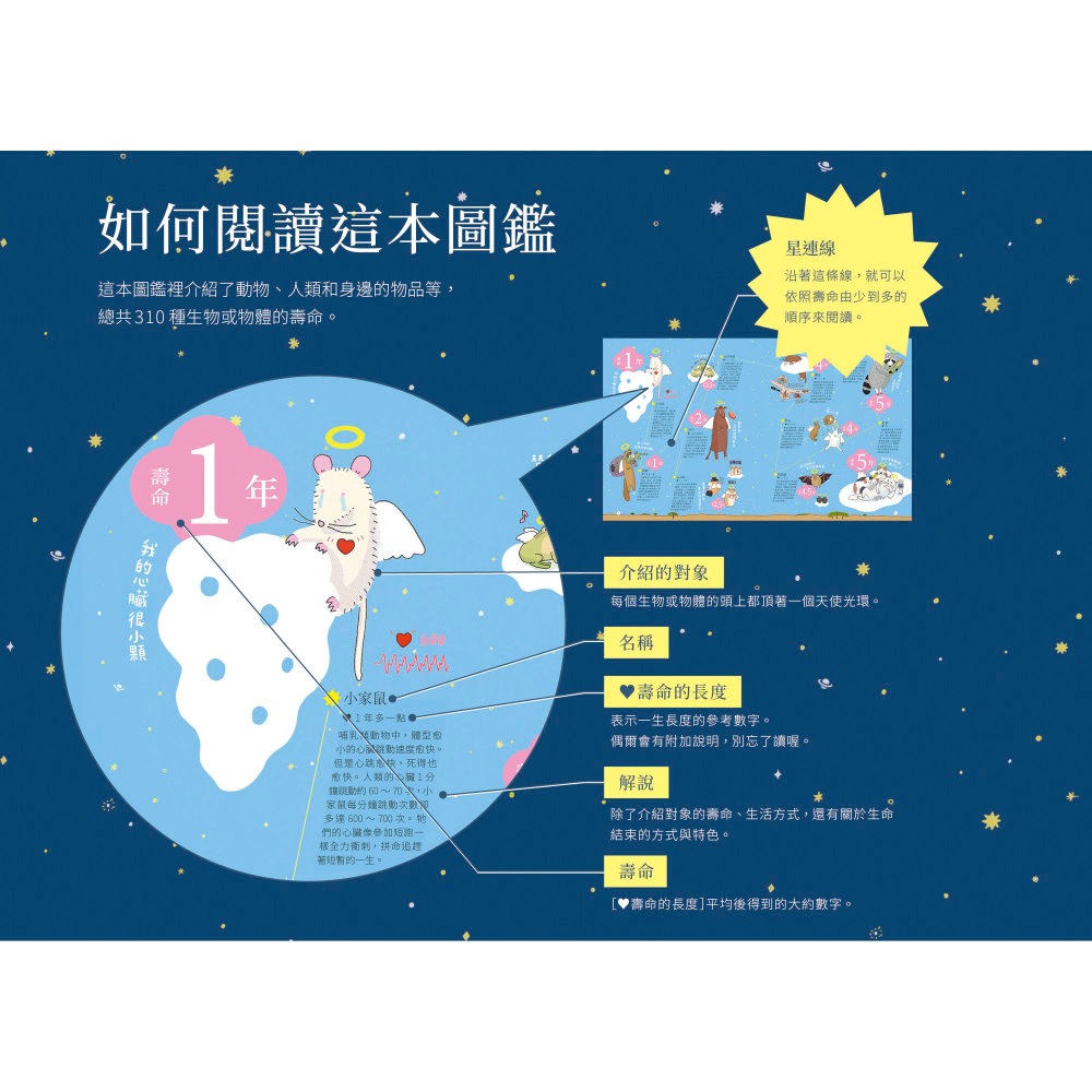 💕現貨💕《上誼文化公司》壽命圖鑑：從人類到宇宙萬物的生命圖鑑【愛寶童衣舖】-細節圖3