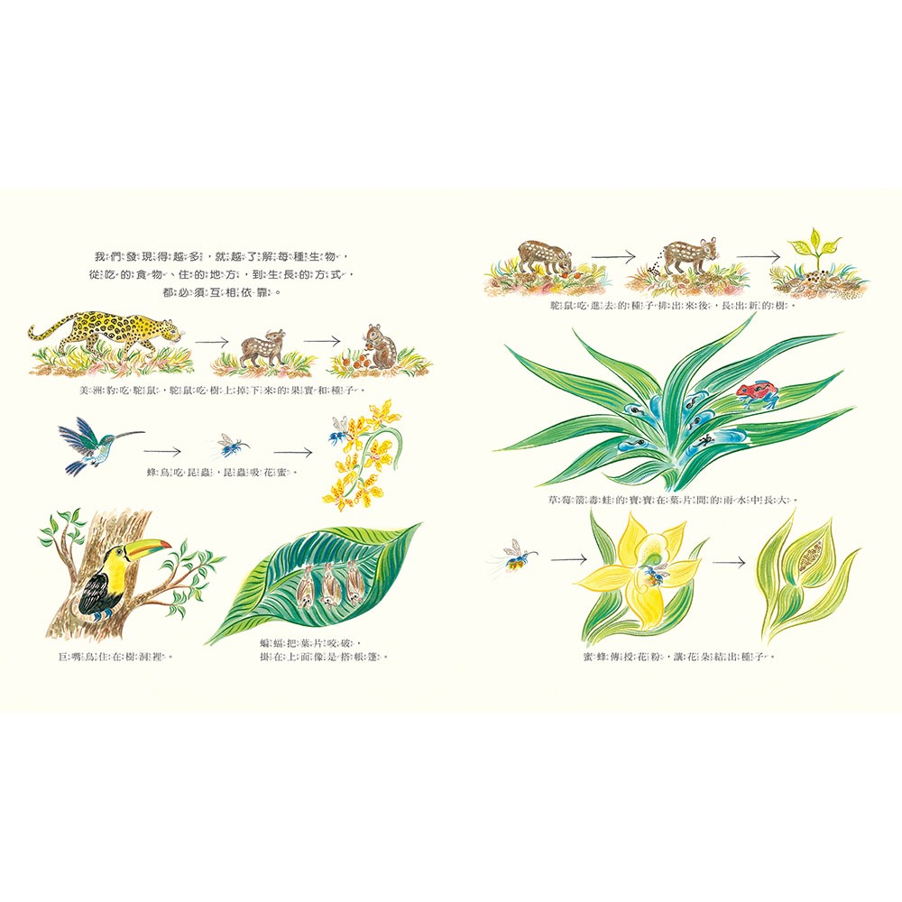 💕現貨💕《上誼文化公司》數不清！大自然的生物多樣性【愛寶童衣舖】-細節圖4