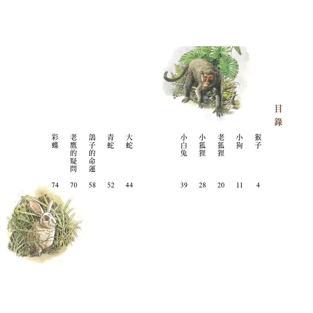 💕現貨💕《信誼基金出版社》好好讀小學堂：山中的悄悄話（新版）【愛寶童衣舖】-細節圖4