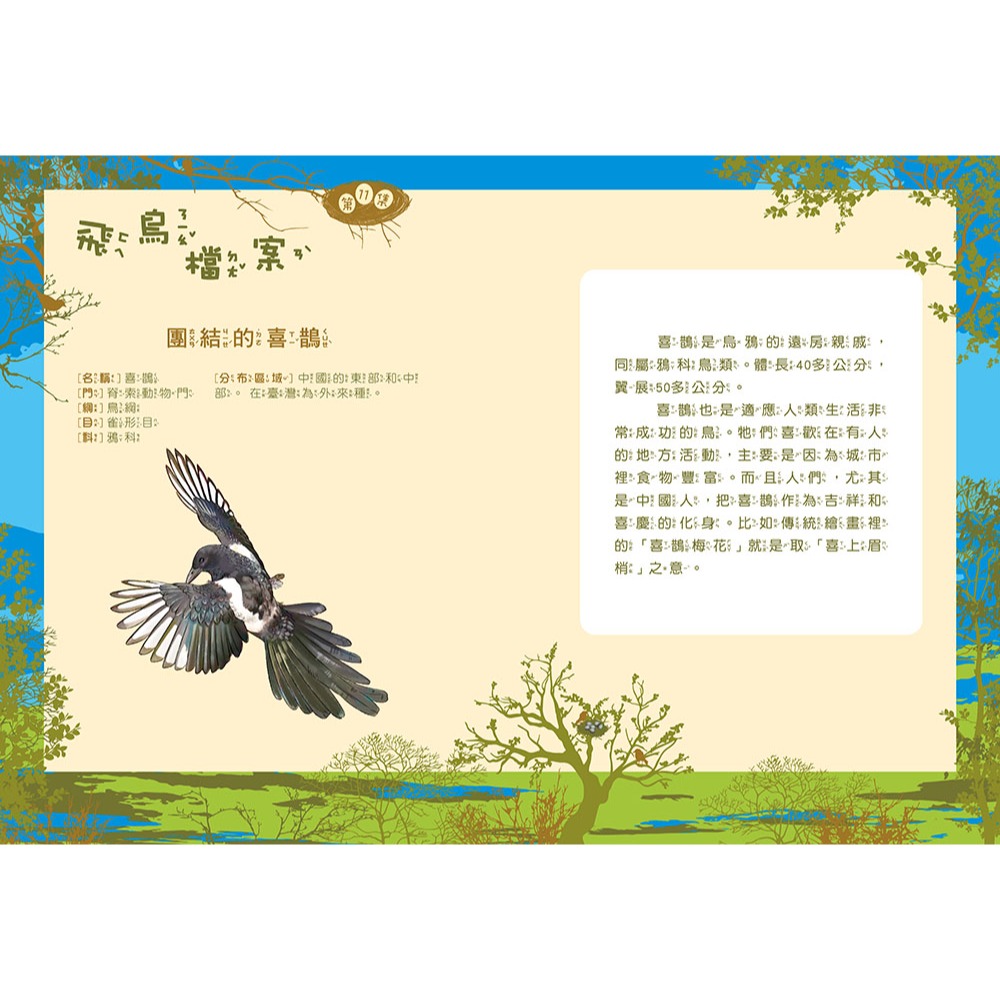 💕現貨💕《東雨文化》【神奇圖書館】天空歷險記（2）：不會飛的爸爸（中高年級知識讀本）【愛寶童衣舖】-細節圖7