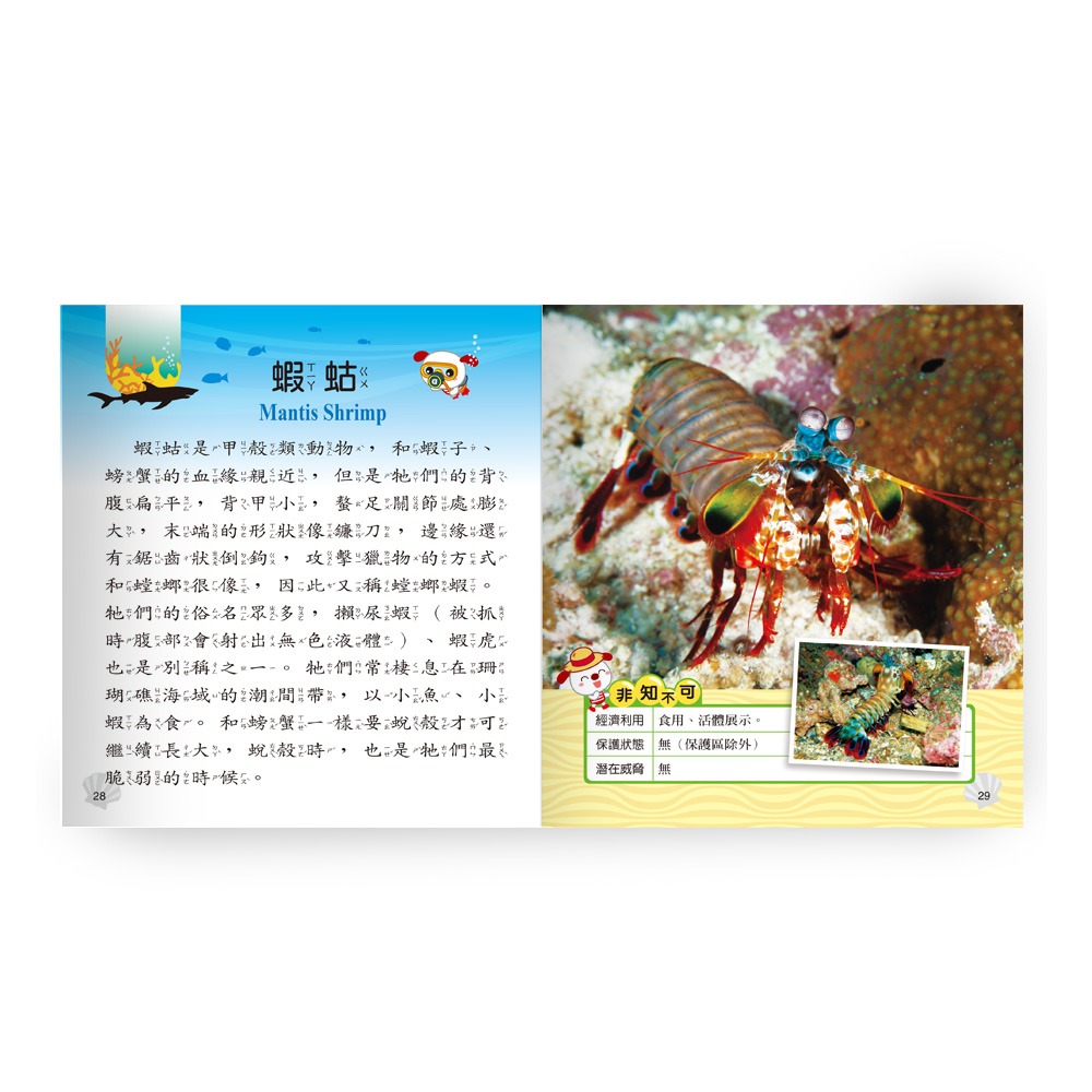 💕現貨💕《世一》海洋動物小百科：精裝版 （QRCode）【愛寶童衣舖】-細節圖7