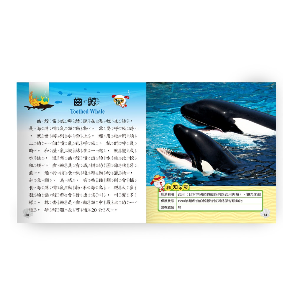 💕現貨💕《世一》海洋動物小百科：精裝版 （QRCode）【愛寶童衣舖】-細節圖8