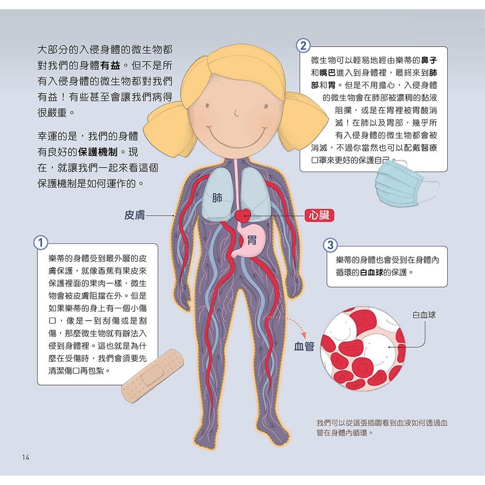 💕現貨💕《大心文創》為什麼要這樣做，勤洗手，戴口罩，免疫系統如何保護我們的身體【愛寶童衣舖】-細節圖6