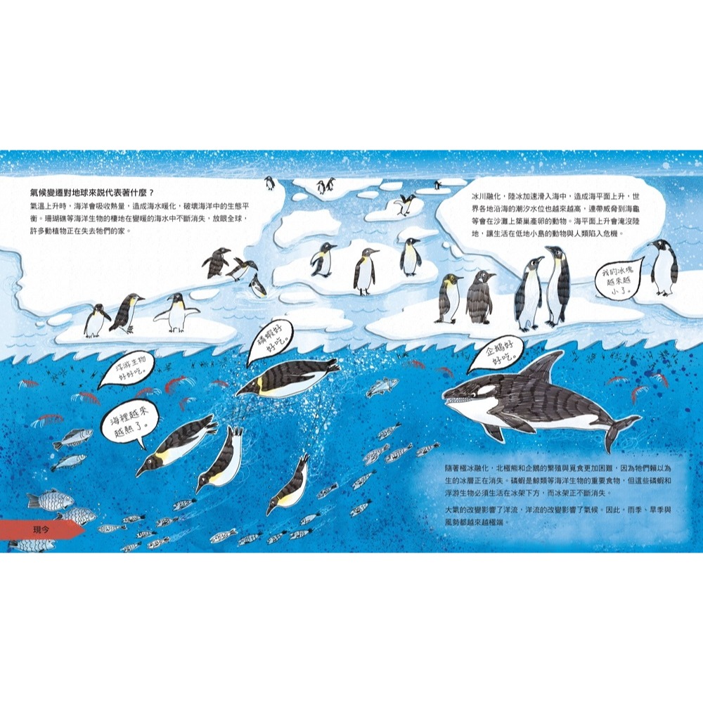 💕現貨💕《小熊出版》氣候變遷：拯救地球的故事（SDGs主題選書）【愛寶童衣舖】-細節圖7