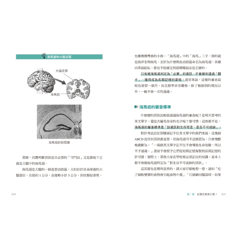 💕現貨💕《幸福文化》考試腦科學：日本腦科學權威教你最強海馬迴記憶法，幫助備考者輕鬆過關！【愛寶童衣舖】-細節圖6