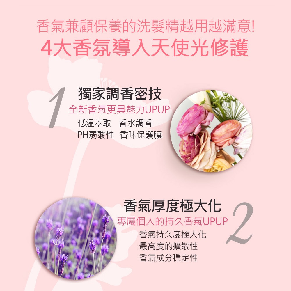 可瑞絲 香氛洗髮精-(魅力雛菊/知性麝香/華麗琥珀)【DDBS】-細節圖5