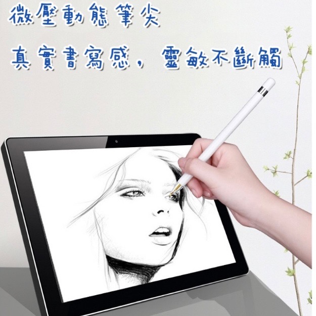 Apple Pencil 筆頭-細節圖4